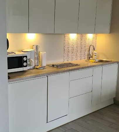 Apartament Czarna Góra 12